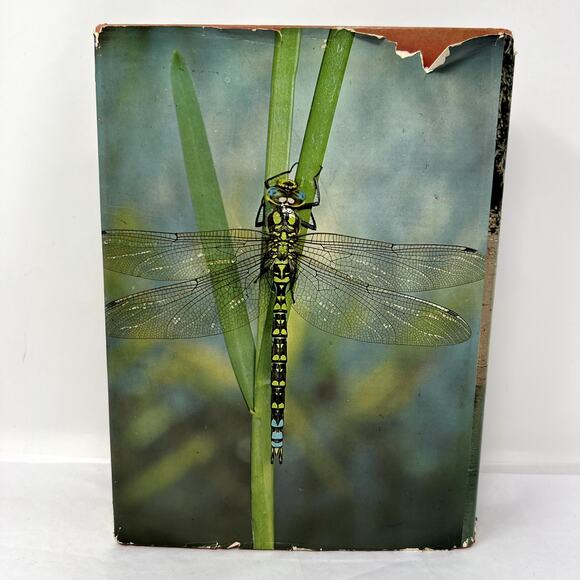 Larousse Encyclopedia of Animal Life - 1967 Paul Hamlyn Limited hard Cover VTG - Picture 2 of 13